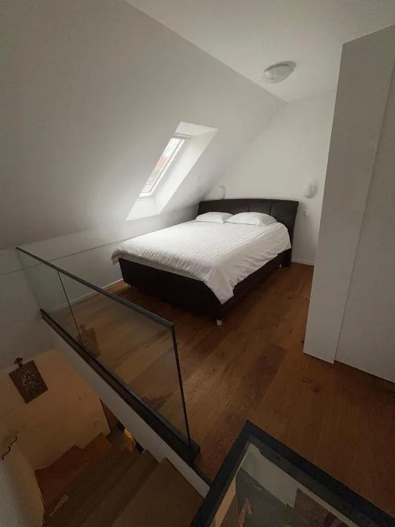 SISSI Apartment Banovci – fotografija 3